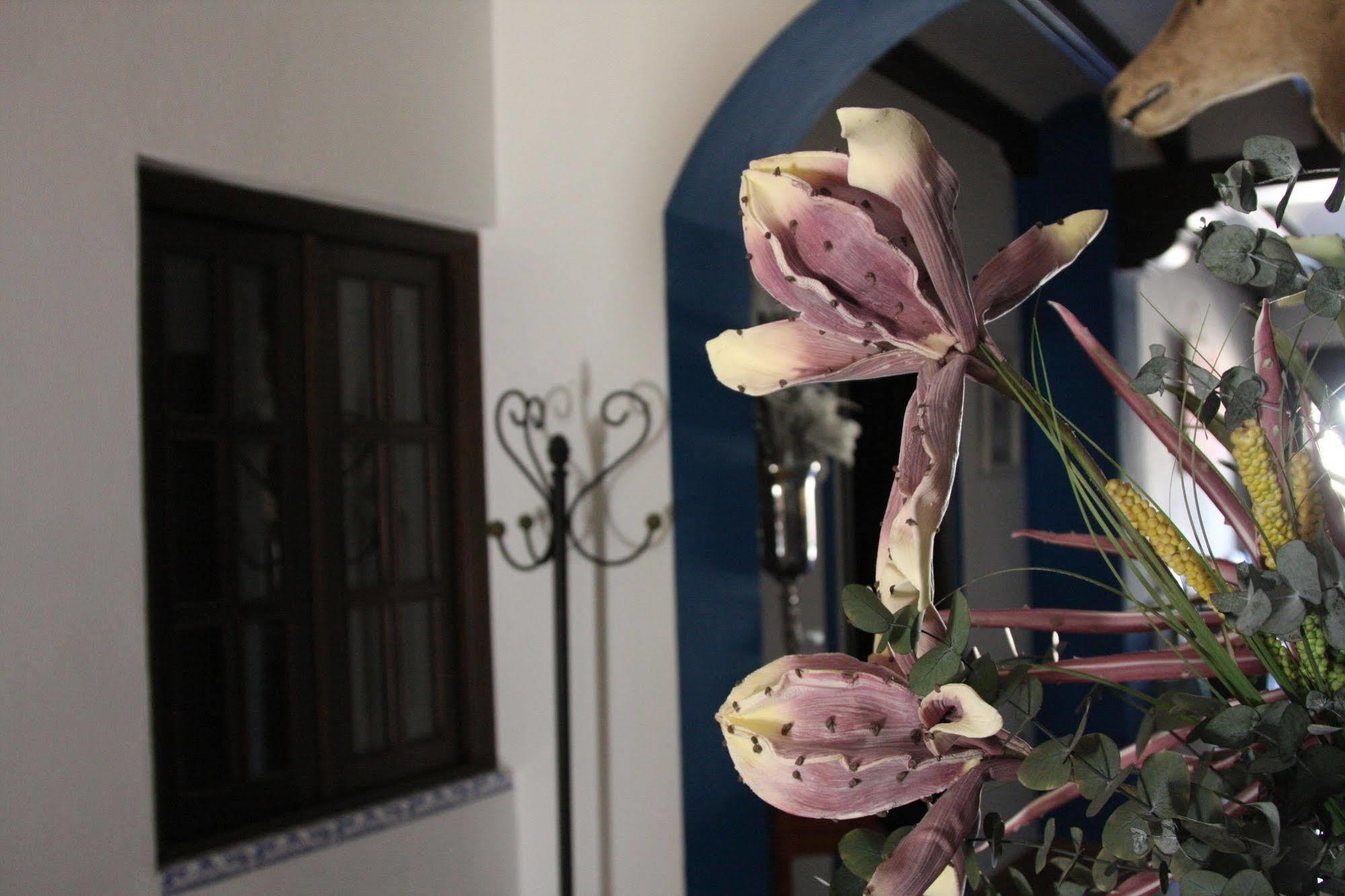 Casa Rural El Sombrero El Rocío Dış mekan fotoğraf